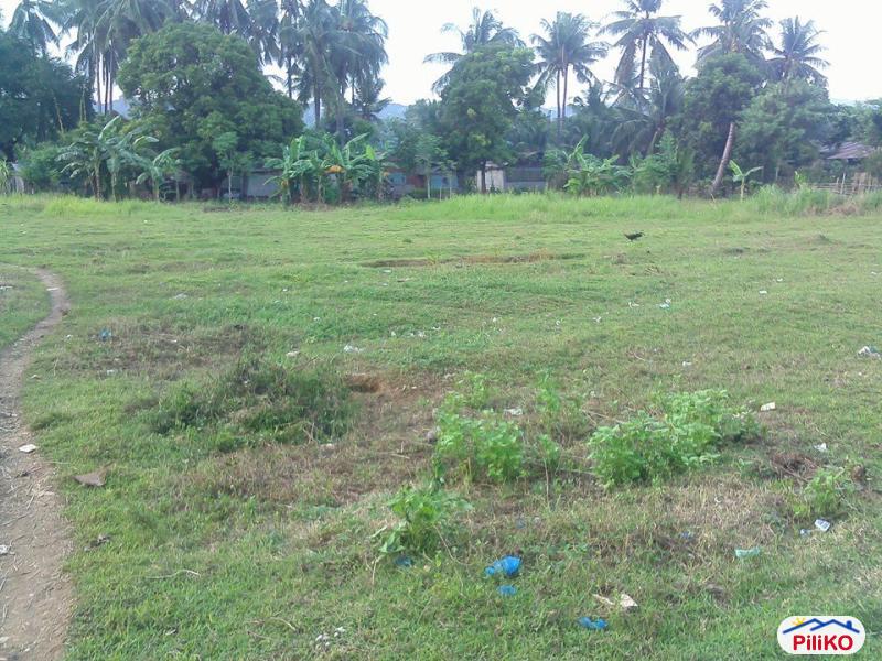 Residential Lot for sale in Cebu City - image 2