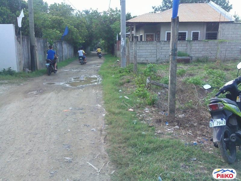 Residential Lot for sale in Cebu City - image 2
