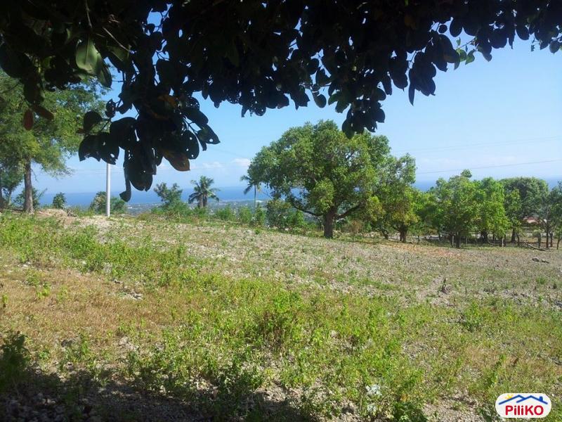Residential Lot for sale in Cebu City - image 2