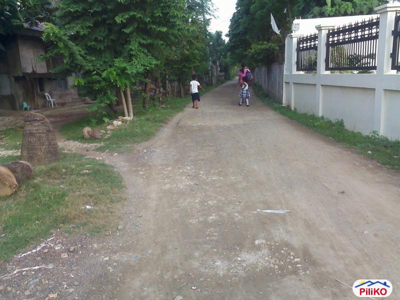 Residential Lot for sale in Cebu City - image 3