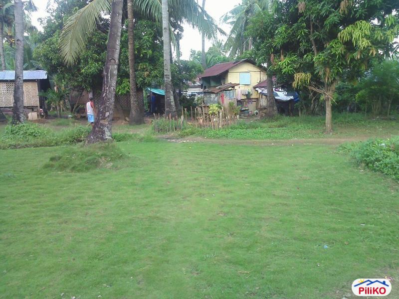 Residential Lot for sale in Cebu City - image 3
