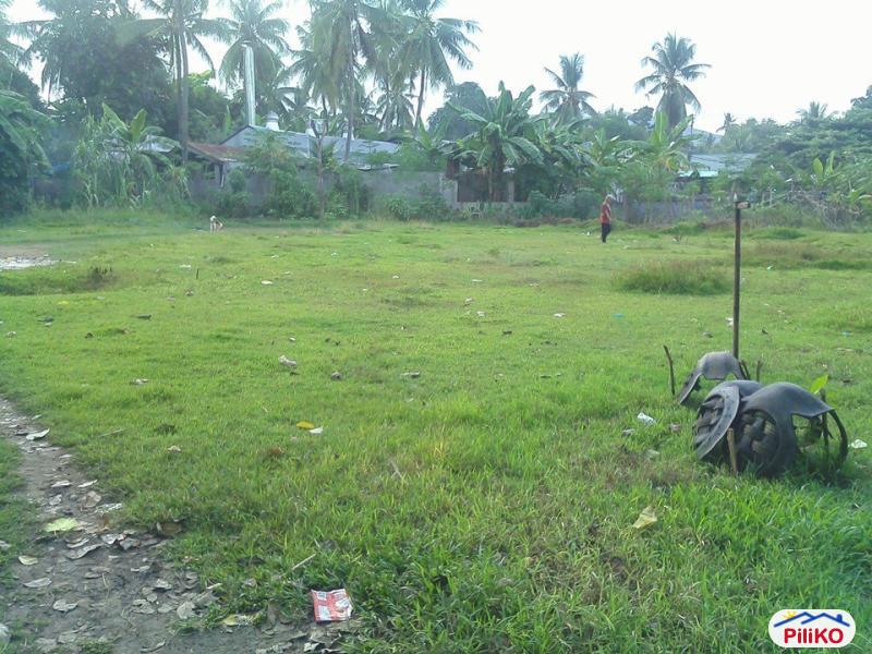 Residential Lot for sale in Cebu City - image 3