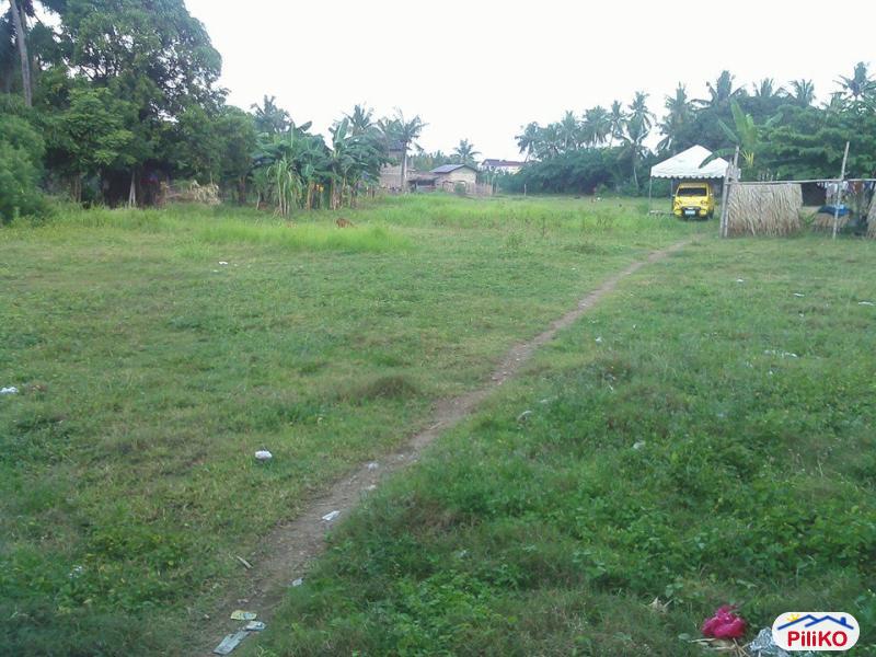 Residential Lot for sale in Cebu City - image 3