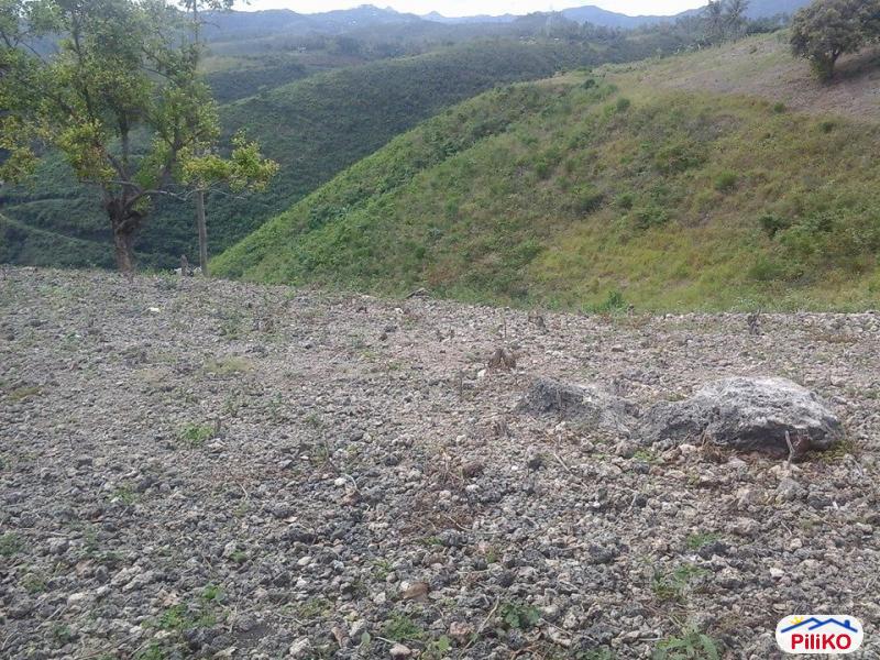 Residential Lot for sale in Cebu City - image 4