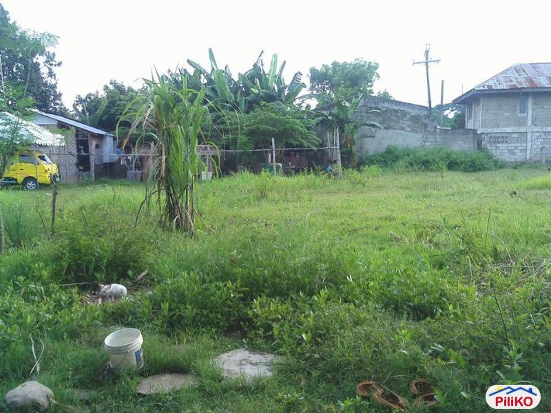 Residential Lot for sale in Cebu City - image 4
