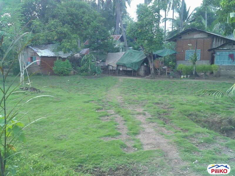 Residential Lot for sale in Cebu City - image 4