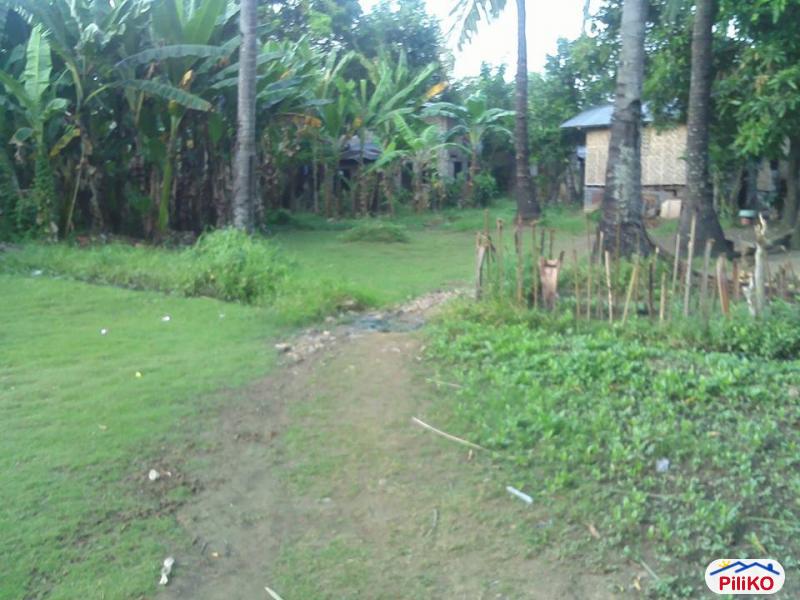 Residential Lot for sale in Cebu City - image 4