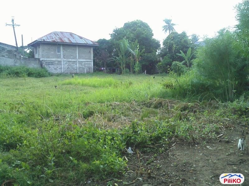 Residential Lot for sale in Cebu City - image 4