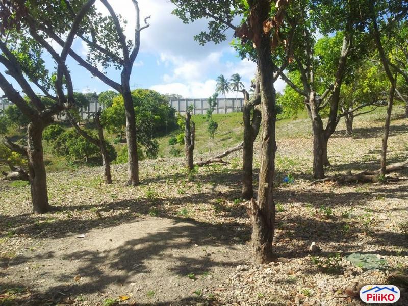 Residential Lot for sale in Cebu City in Philippines
