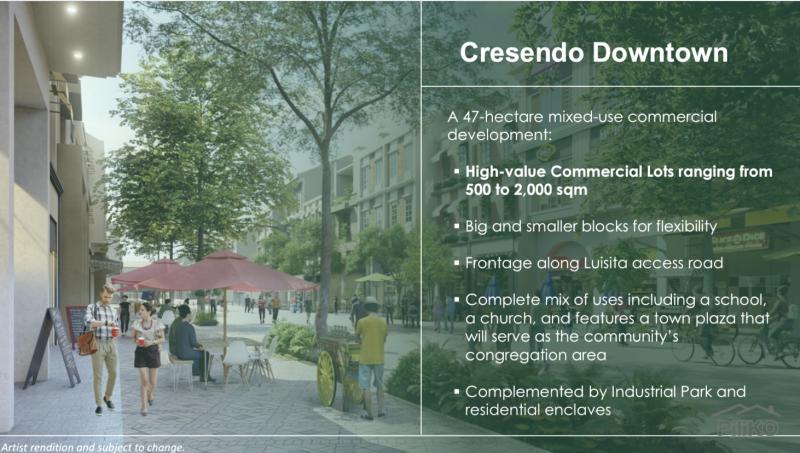 Commercial Lot for sale in Tarlac City - image 10