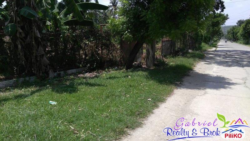 commercial lot for sale in compostela