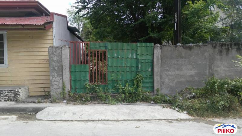 Picture of Residential Lot for sale in Compostela