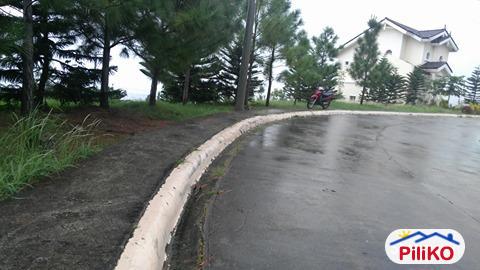 Pictures of Residential Lot for sale in Compostela