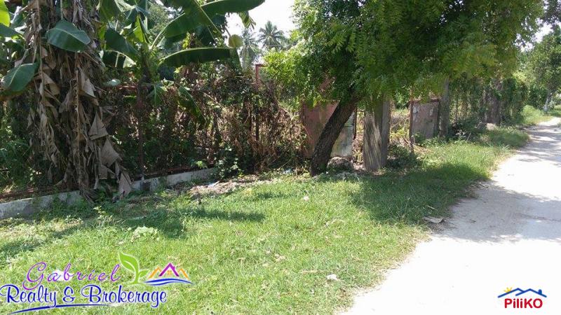 Commercial Lot for sale in Compostela - image 2