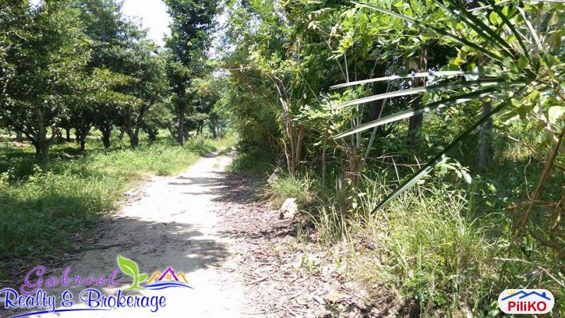 Commercial Lot for sale in Compostela - image 2
