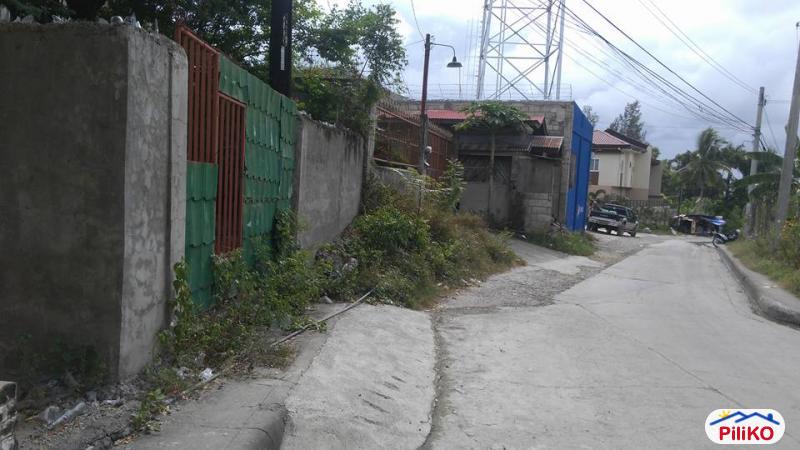 Residential Lot for sale in Compostela