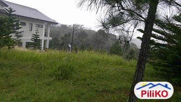 Residential Lot for sale in Compostela - image 2
