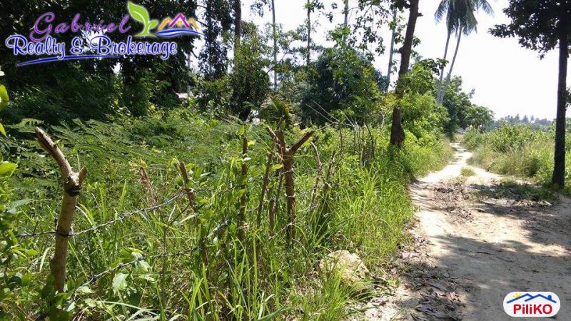 Commercial Lot for sale in Compostela in Cebu