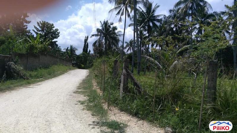 Commercial Lot for sale in Compostela - image 3