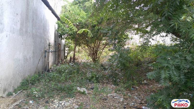 Residential Lot for sale in Compostela in Cebu