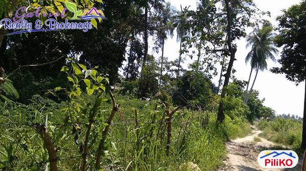 Commercial Lot for sale in Compostela - image 4