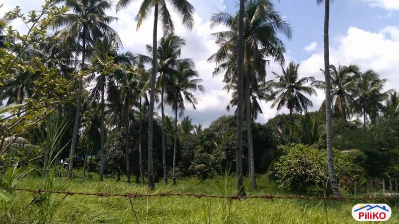 Commercial Lot for sale in Compostela in Philippines