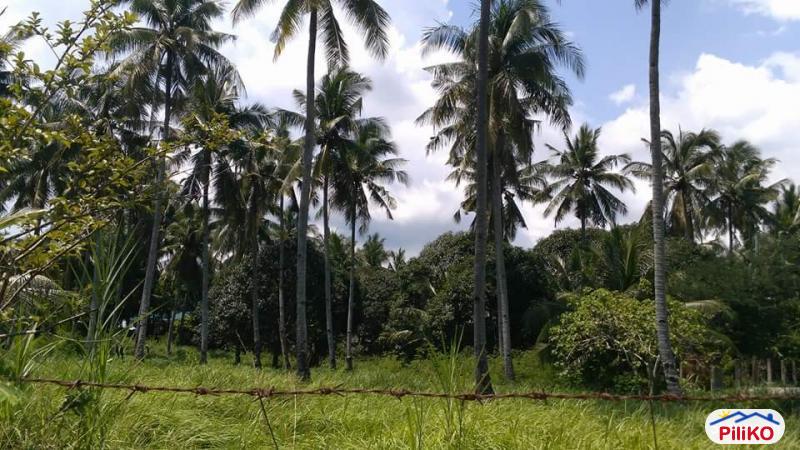 Commercial Lot for sale in Compostela - image 4