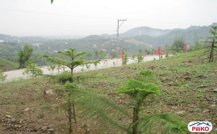 Residential Lot for sale in Compostela - image 4