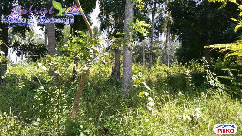 Commercial Lot for sale in Compostela - image 5