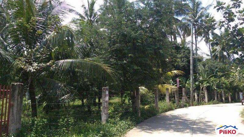 Picture of Commercial Lot for sale in Compostela in Cebu