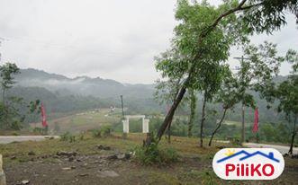 Residential Lot for sale in Compostela - image 6