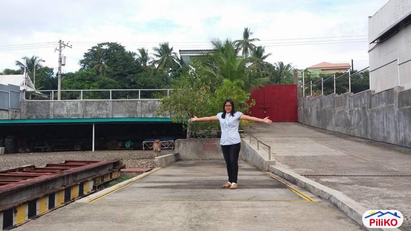 Commercial Lot for sale in Compostela in Cebu - image