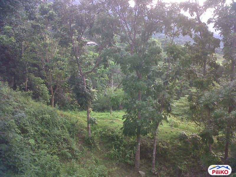 Picture of Other lots for sale in Cebu City