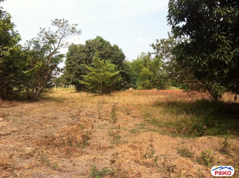 4 bedroom House and Lot for sale in Mexico - image 10