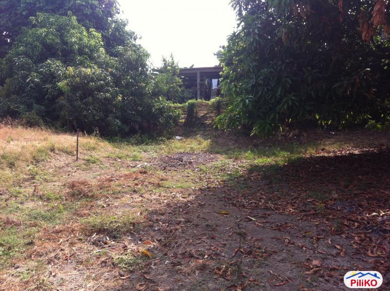 4 bedroom House and Lot for sale in Mexico - image 11