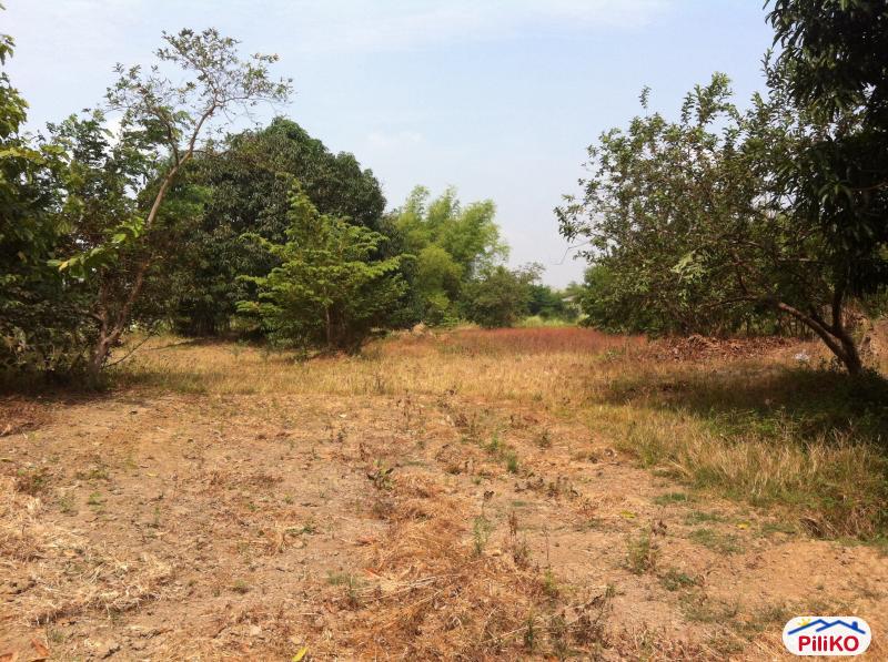 4 bedroom House and Lot for sale in Mexico - image 12