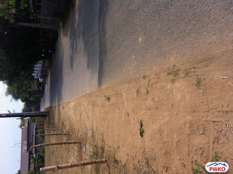 4 bedroom House and Lot for sale in Mexico - image 3