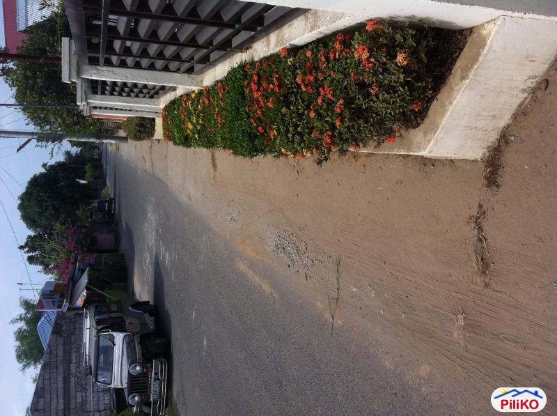 4 bedroom House and Lot for sale in Mexico - image 4
