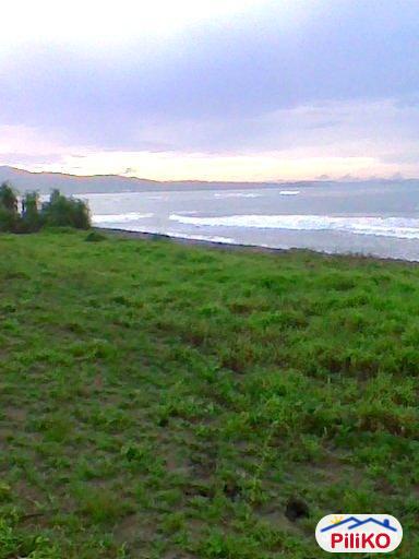 Picture of Agricultural Lot for sale in Bobon