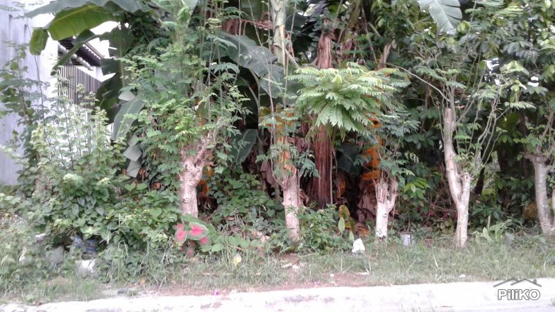 Residential Lot for sale in Cainta - image 2
