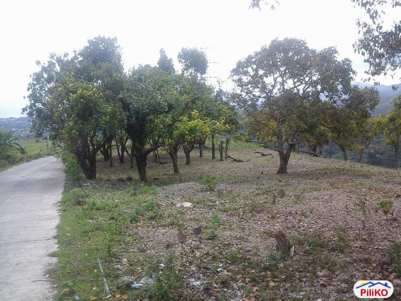 Picture of Residential Lot for sale in Minglanilla