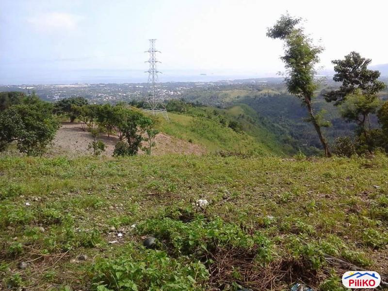 Residential Lot for sale in Minglanilla