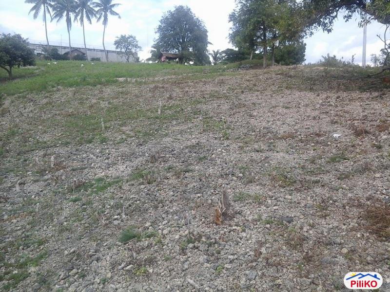 Residential Lot for sale in Minglanilla - image 3