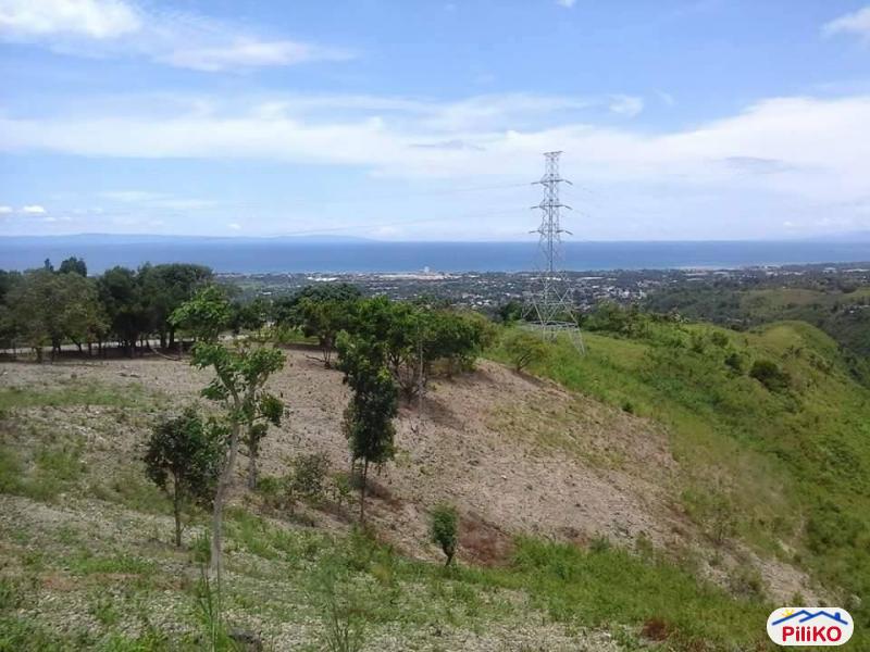 Residential Lot for sale in Minglanilla - image 4