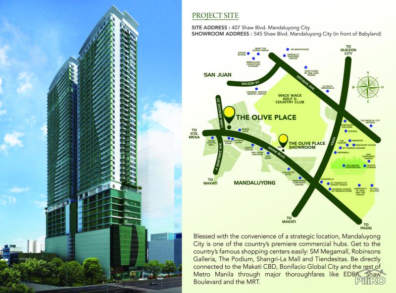 1 bedroom Condominium for sale in Mandaluyong - image 2