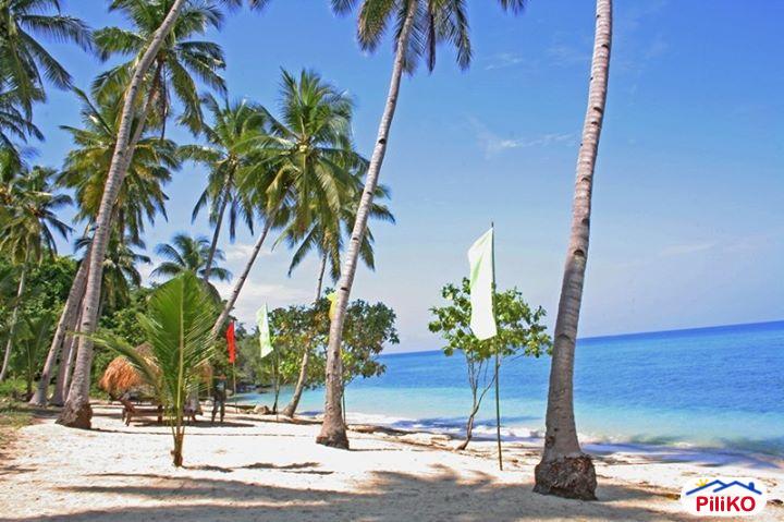 Residential Lot for sale in Other Cities - image 10