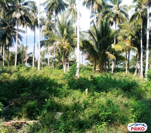Residential Lot for sale in Other Cities - image 12