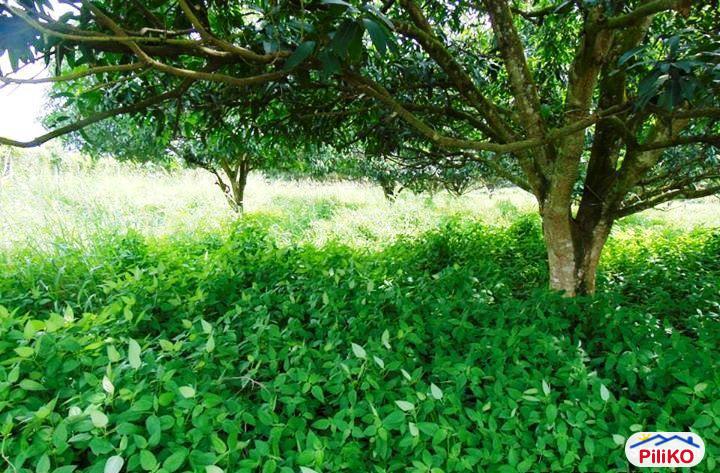 Picture of Residential Lot for sale in Other Cities