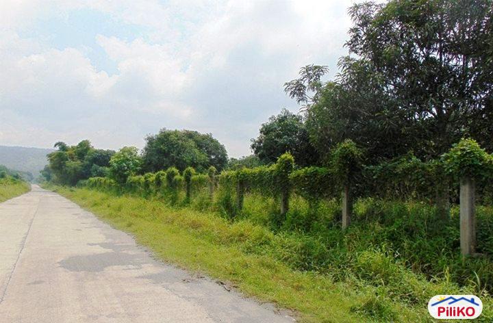 Residential Lot for sale in Other Cities in South Cotabato
