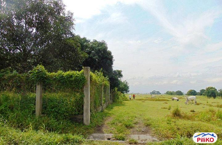 Residential Lot for sale in Other Cities in Philippines